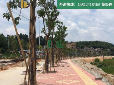 肇慶廣寧大道